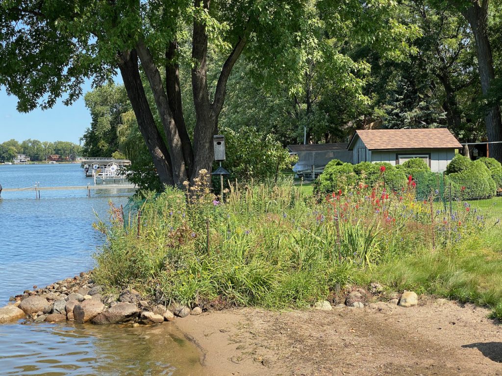 Shoreline restoration on Lake Owasso at 3097 Sandy Hook